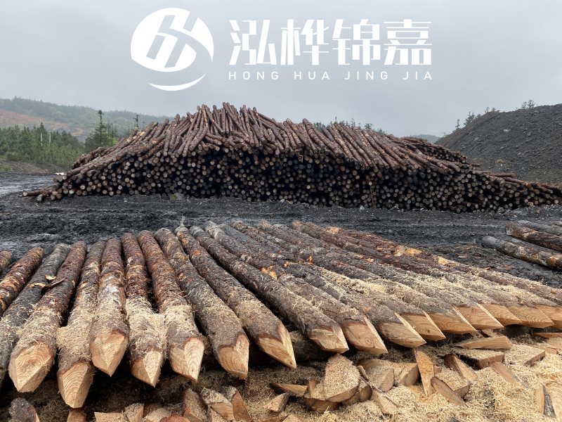 6米長松木樁有哪些作用，多少錢一根？