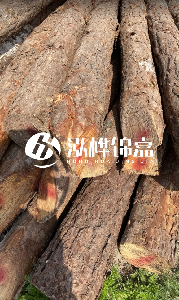<strong>松木樁和杉木樁的用途區(qū)別？哪個(gè)更適合打樁用？</strong>
