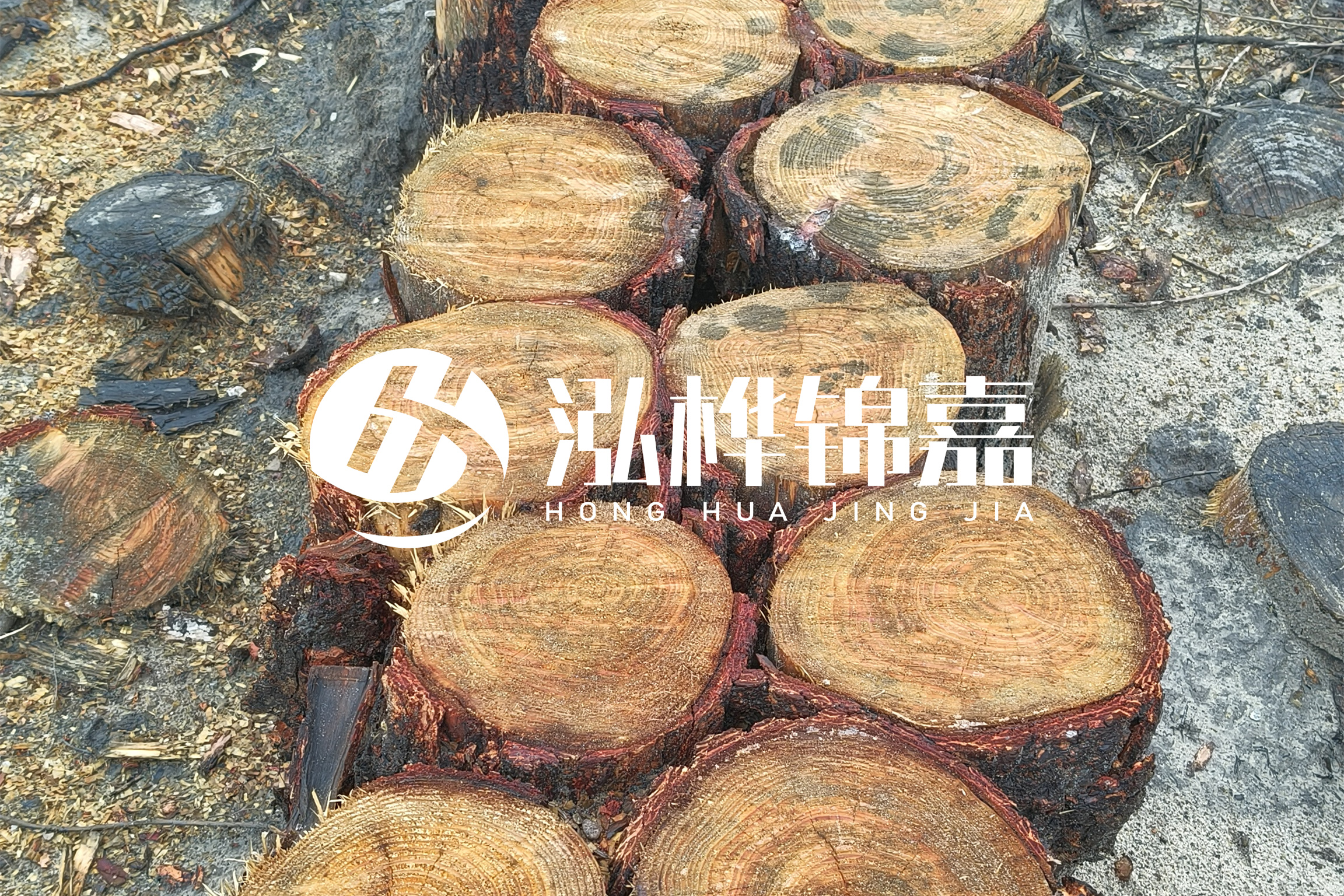 浙江臺州有清淤的公司嗎？浙江臺州有清淤施工隊嗎？