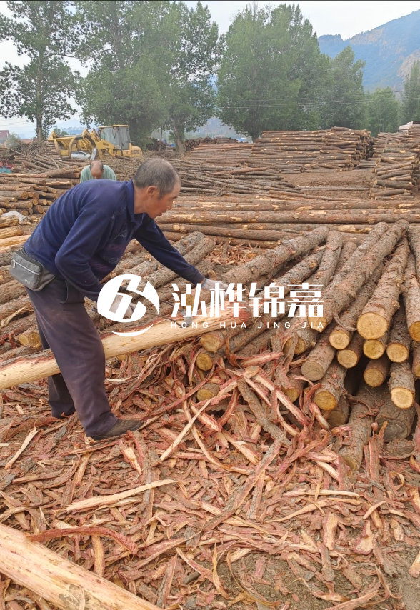 九江河底清理淤泥施工隊-河道清淤85元一方能干嗎？