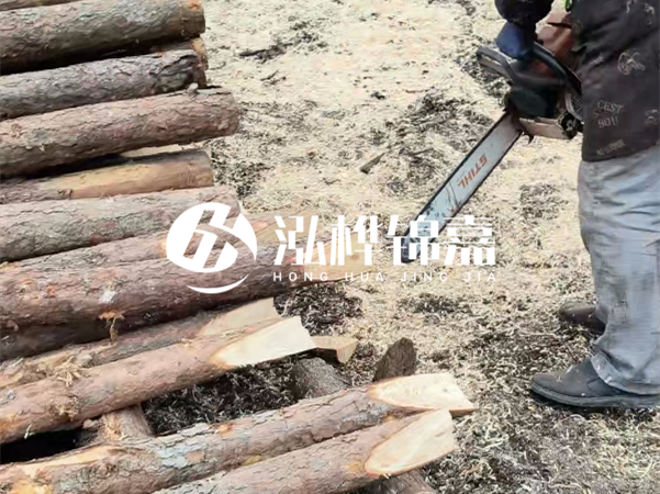 杉木樁批發(fā)廠家哪家好？產(chǎn)地直供渠道推薦！