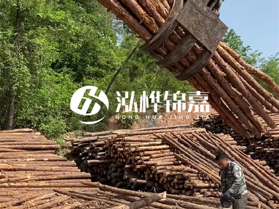 哪里能買到優(yōu)質(zhì) 3 米松木樁？長(zhǎng)沙有松木樁批發(fā)工廠嗎？