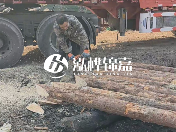 松木圓木價格大概多少一方-松木樁廠家按方可以賣嗎？
