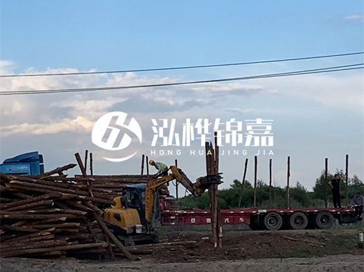 河北打樁木源頭廠家泓樺錦嘉 - 北方常用打樁木是什么？