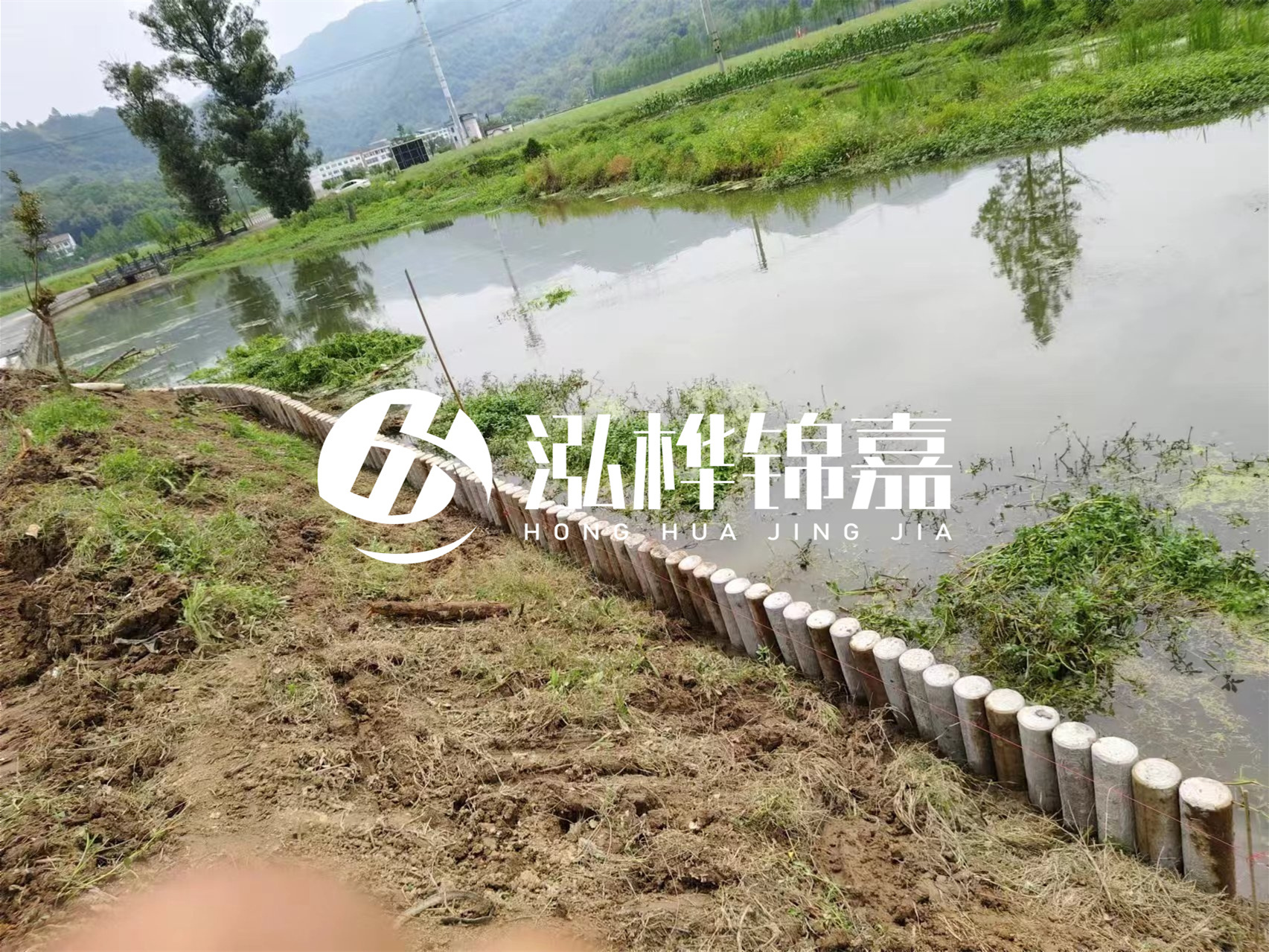 松木樁加固河道與水泥樁對比如何？哪一種更加適合您？