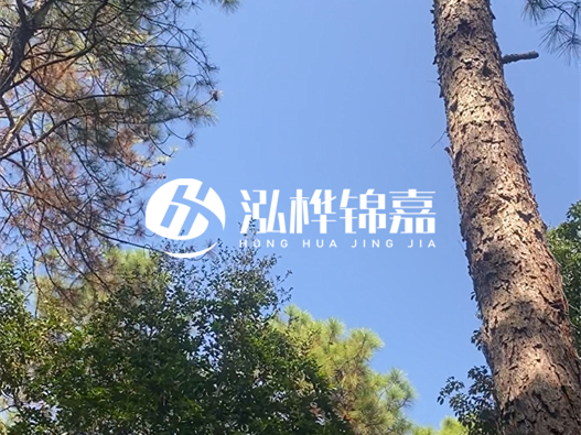 松木樁廠家泓樺錦嘉可以實地考察嗎？需要提前預(yù)約嗎？