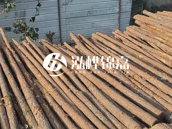 松木樁打樁后清淤怎么處理？有沒有全包的公司？