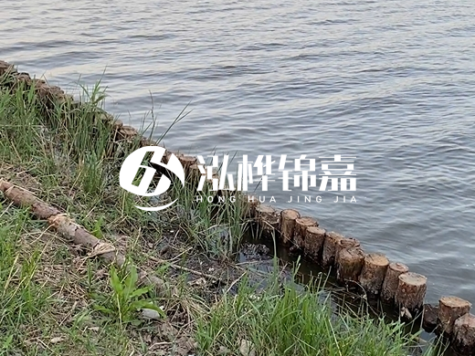 防洪松木樁施工重要性？河道打木樁的位置怎么確定？