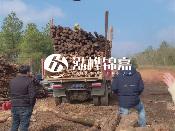 松木樁廠家泓樺錦嘉-存放超過(guò)半年的原木松木樁還能用嗎？