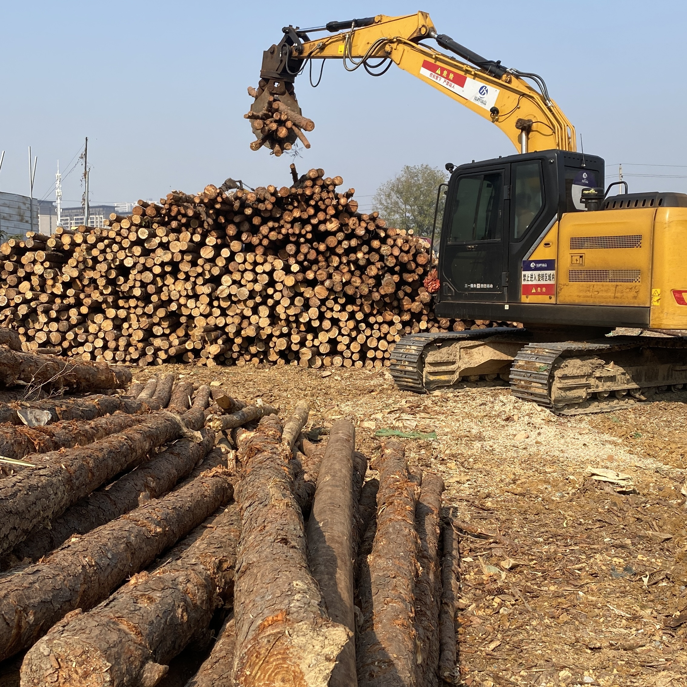 松木樁廠家泓樺錦嘉-濕地松原木的價格大概是多少？