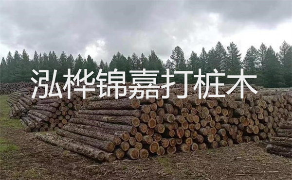 選擇紅磚護(hù)坡，打造獨(dú)特的美麗景觀
