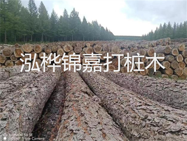 高效施工，圓松木樁助力建筑工程進(jìn)展順利