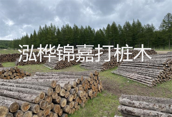 預(yù)制松木樁施工工藝：優(yōu)質(zhì)材料，高效快速，堅(jiān)固耐用