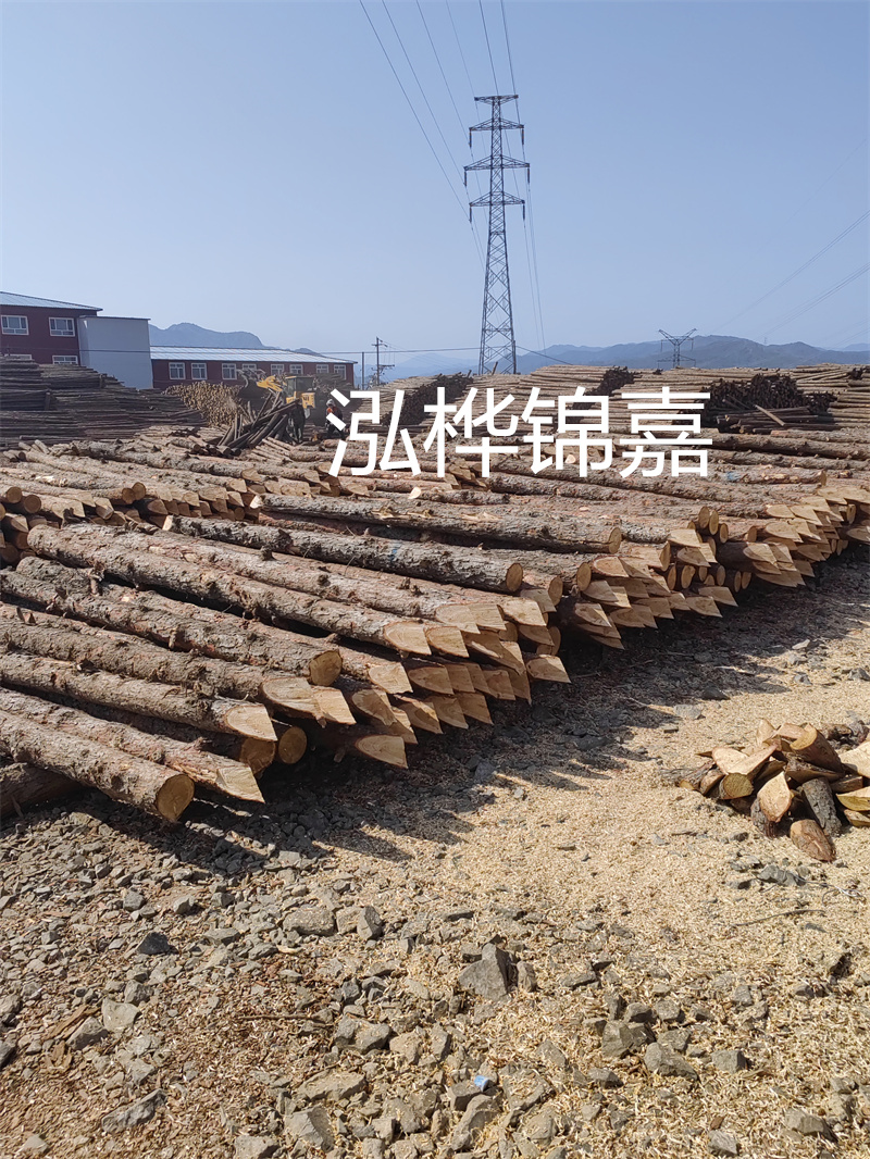 深入了解松木樁基礎(chǔ)施工單價，助力工程建設(shè)順利進行！