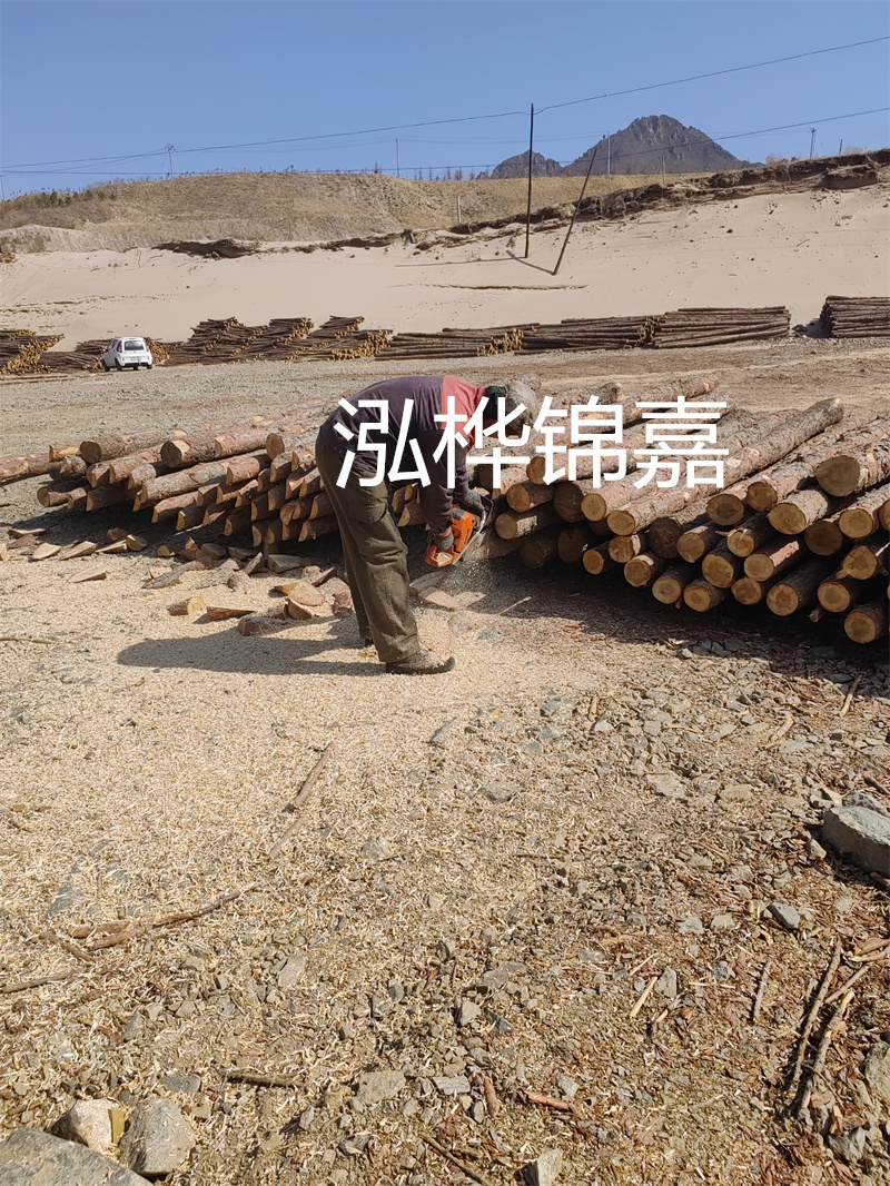 松木樁駁岸施工，打造水上風景線
