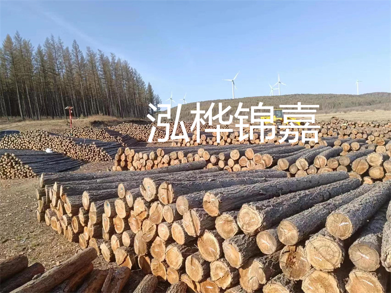 用路基松木樁施工方案提升工程質(zhì)量描述：了解路基松木樁施工方案的重要性，提高工程質(zhì)量關(guān)鍵詞：路基松木樁，施工方案，工程質(zhì)量